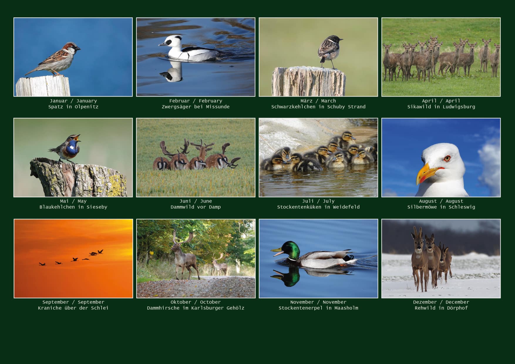 Kalender - Tiere im Naturpark Schlei