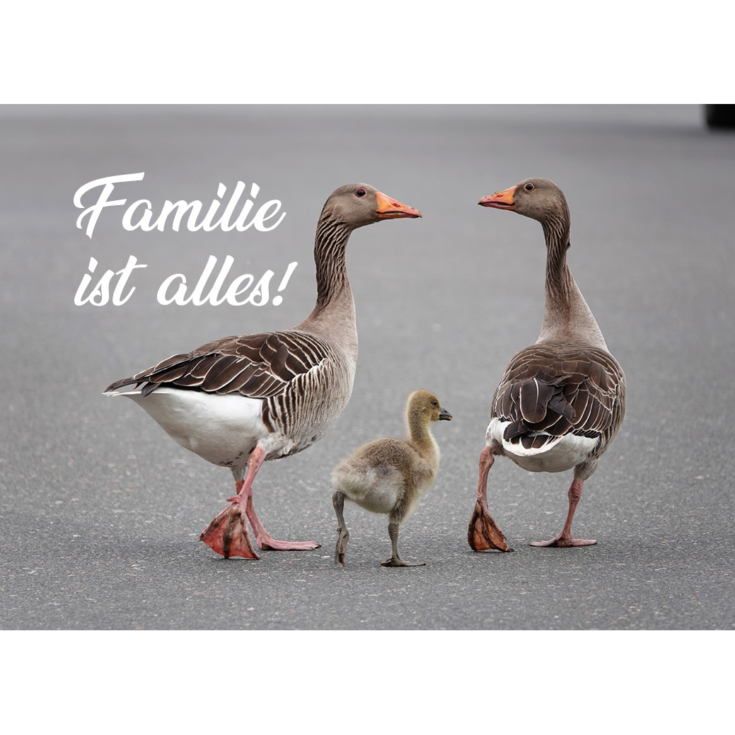 Magnet "Familie ist alles!"